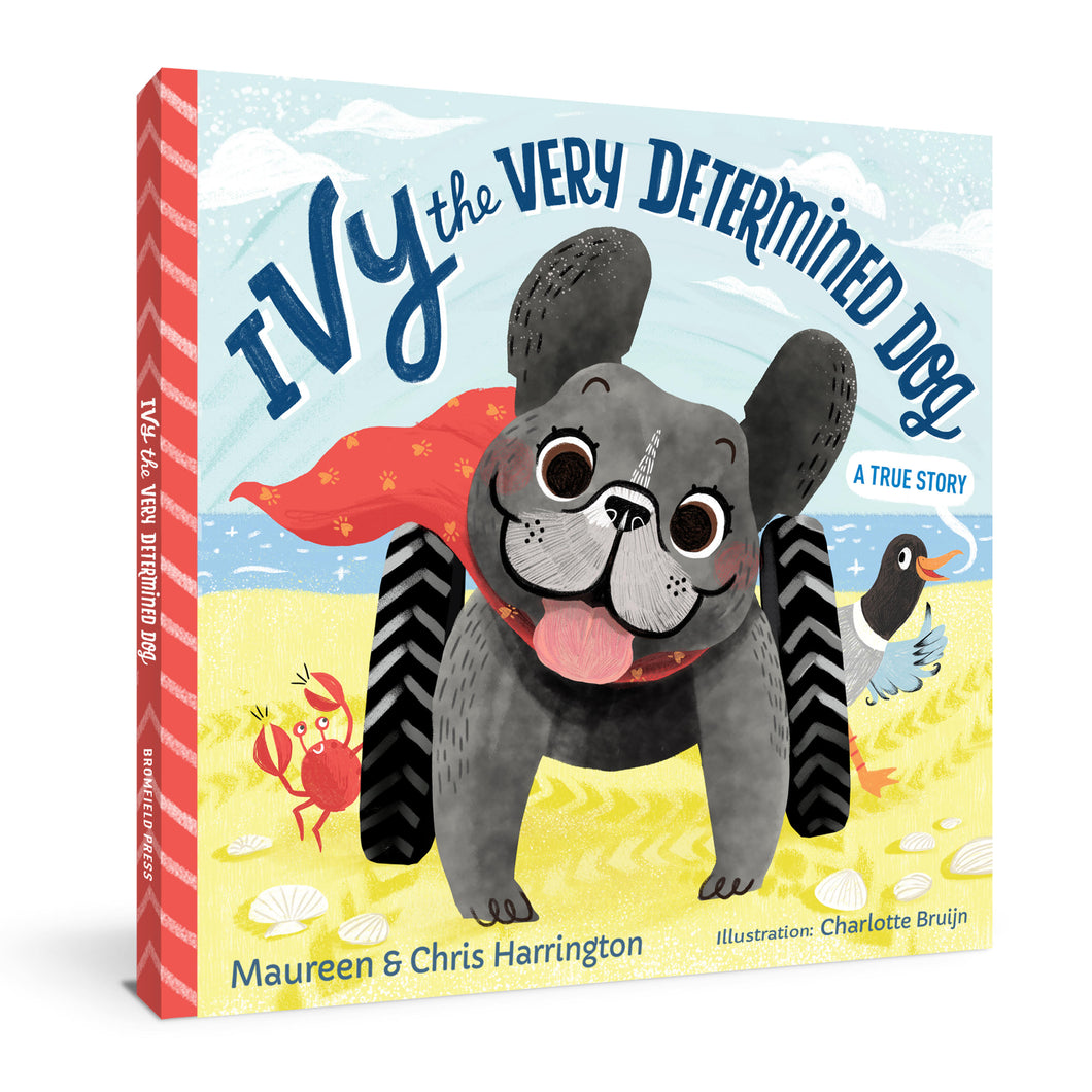 Ivy the Very Determined Dog (Hardcover)